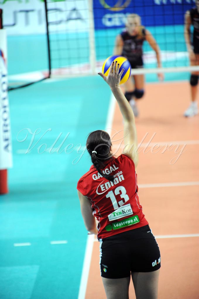 Asystel NO Dabrowa Gornicza (37)